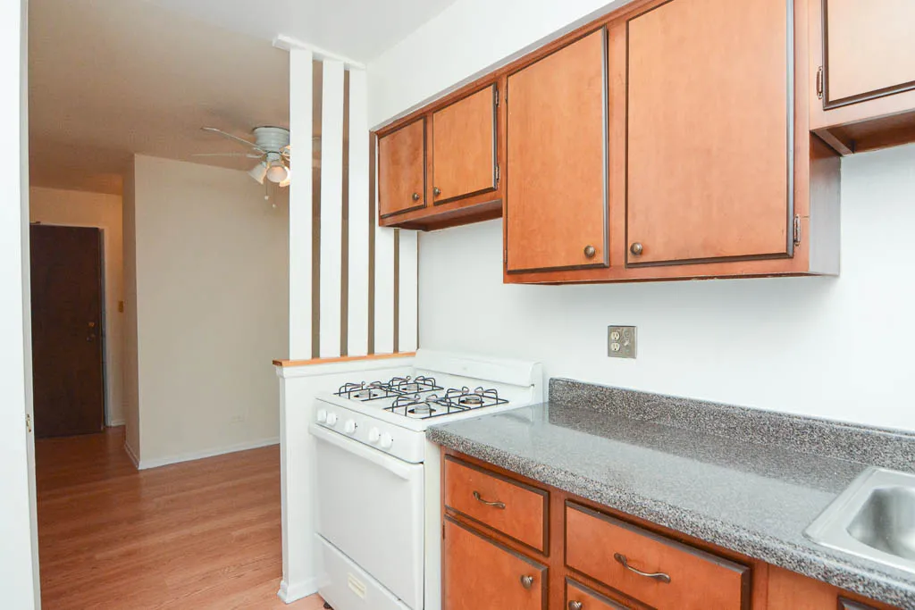 660 W WRIGHTWOOD AVE 60614-660 West Wrightwood-Chicago-IL