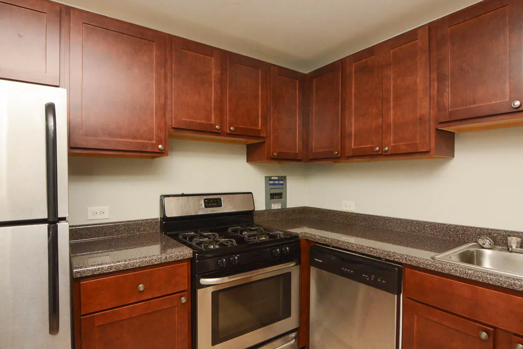 510 W BRIAR PL 60657-510 W Briar-Chicago-IL