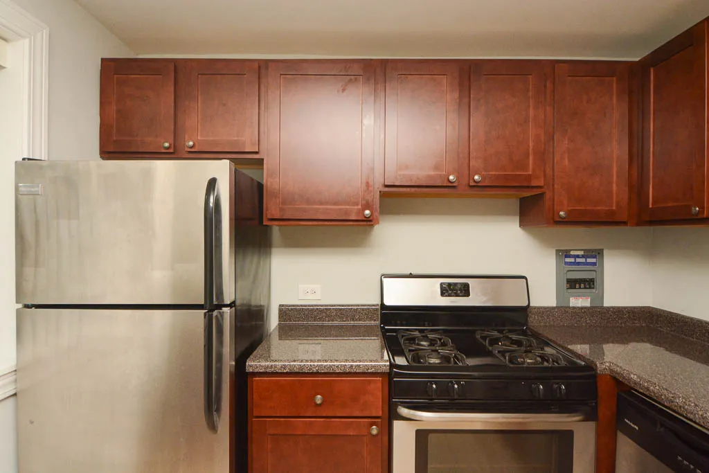 510 W BRIAR PL 60657-510 W Briar-Chicago-IL