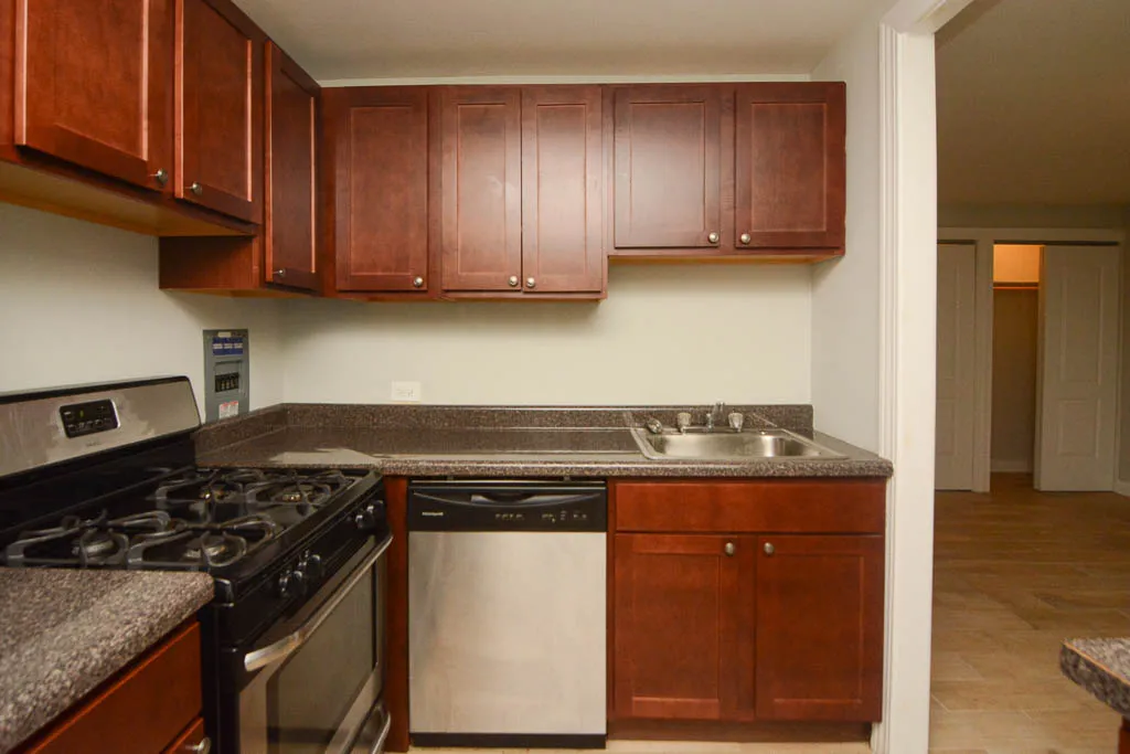 510 W BRIAR PL 60657-510 W Briar-Chicago-IL