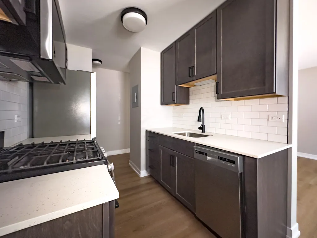 528 W Oakdale Ave 60657 60657-528 West Oakdale-Chicago-IL