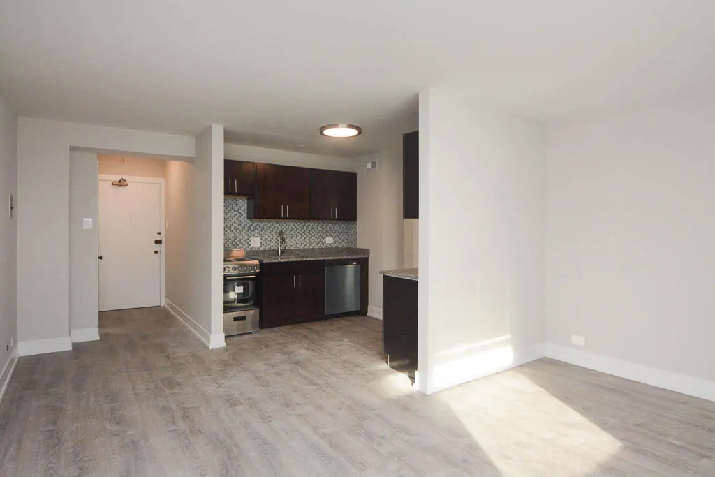 445 W WELLINGTON AVE 60657-445 West Wellington-Chicago-IL