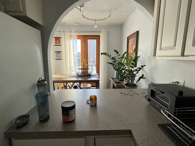 711 W GORDON TER 60613-unit#502-Chicago-IL