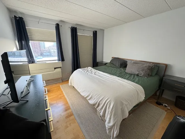 711 W GORDON TER 60613-unit#502-Chicago-IL