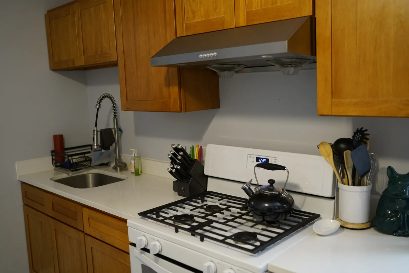 3618 S Lowe Ave   60609 60609-unit#G-Chicago-IL