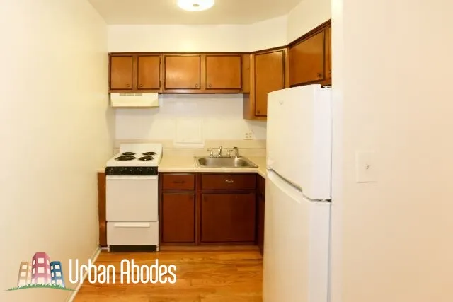 1446 N Dearborn, ,  60610 60610-unit#2D-Chicago-IL