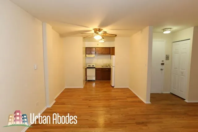 1446 N Dearborn, ,  60610 60610-unit#2D-Chicago-IL