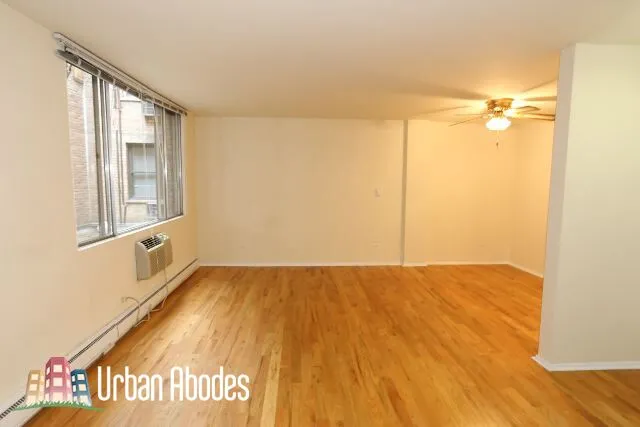 1446 N Dearborn, ,  60610 60610-unit#2D-Chicago-IL