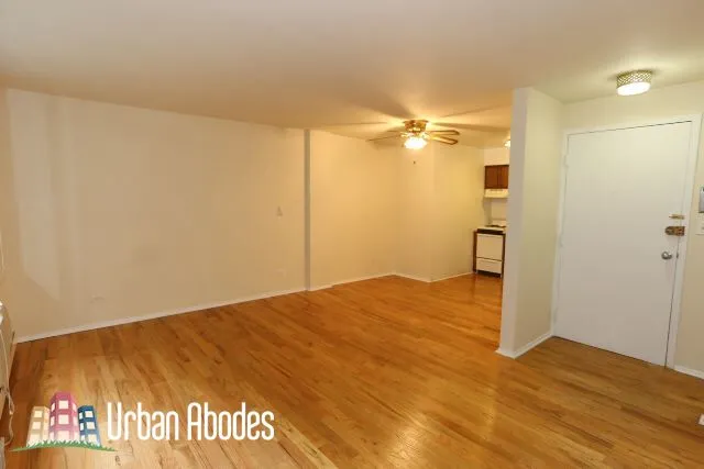 1446 N Dearborn, ,  60610 60610-unit#2D-Chicago-IL