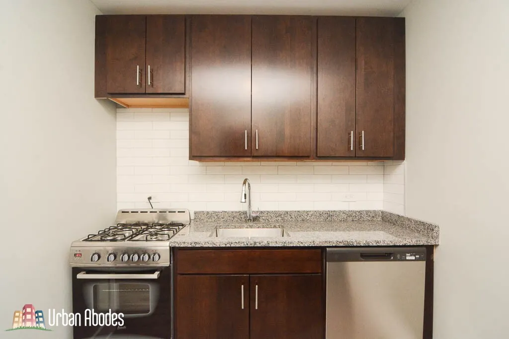 1347 N Dearborn, , 60610 60610-unit#303-Chicago-IL