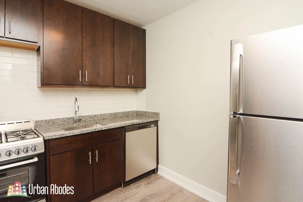 1347 N Dearborn, , 60610 60610-unit#303-Chicago-IL