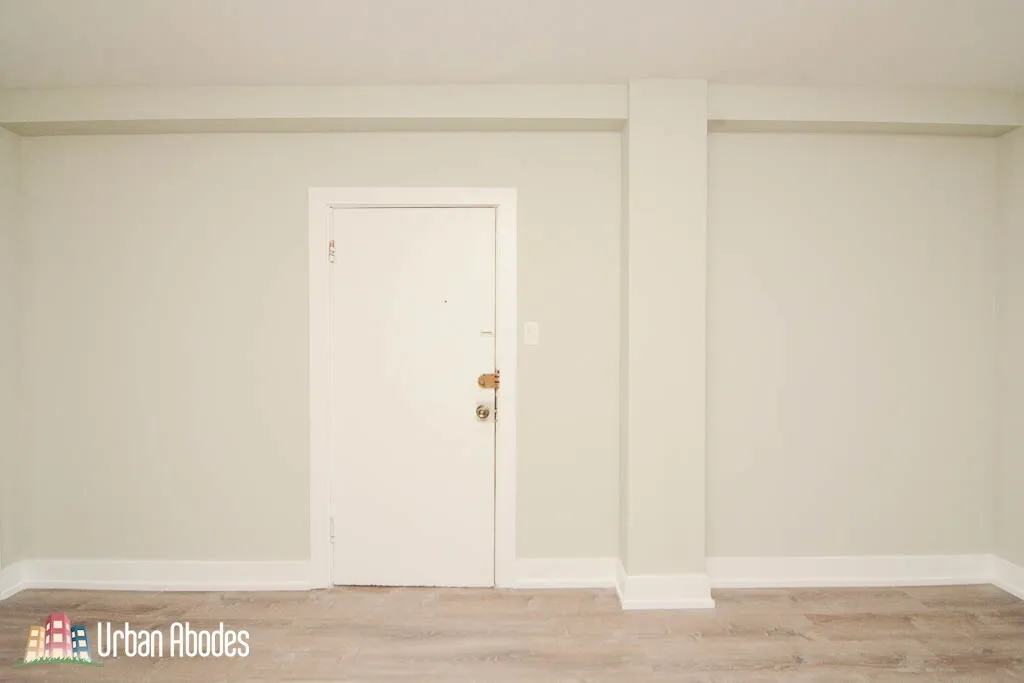 1347 N Dearborn, , 60610 60610-unit#303-Chicago-IL