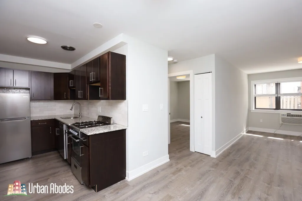 445 W Barry, , 60657 60657-unit#229-Chicago-IL