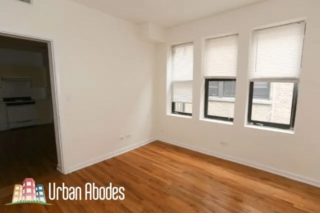 917 W Dakin, ,  60613 60613-unit#305-Chicago-IL