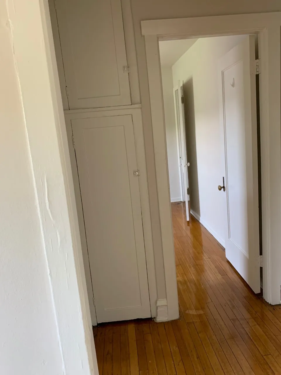 1600 W Albion Ave   60626 60626-unit#3P-Chicago-IL