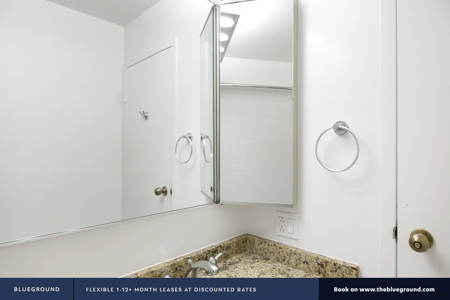 750 N RUSH ST 60611-The Chicagoan-unit#ID86-Chicago-IL