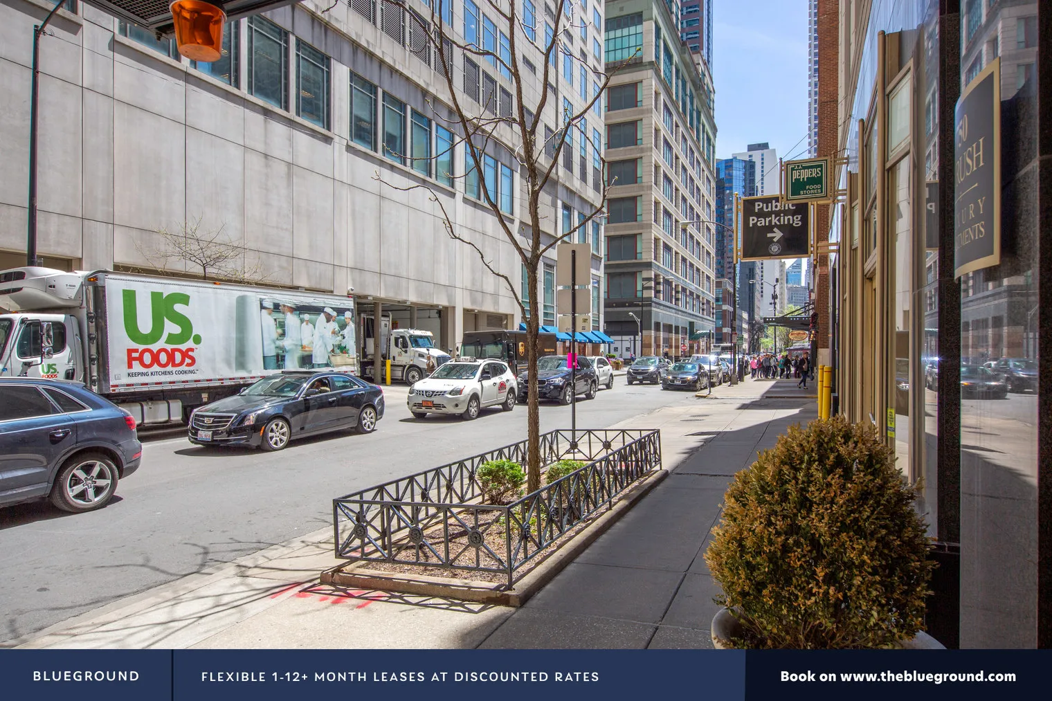 750 N Rush St 60611 60611-The Chicagoan-unit#ID160-Chicago-IL