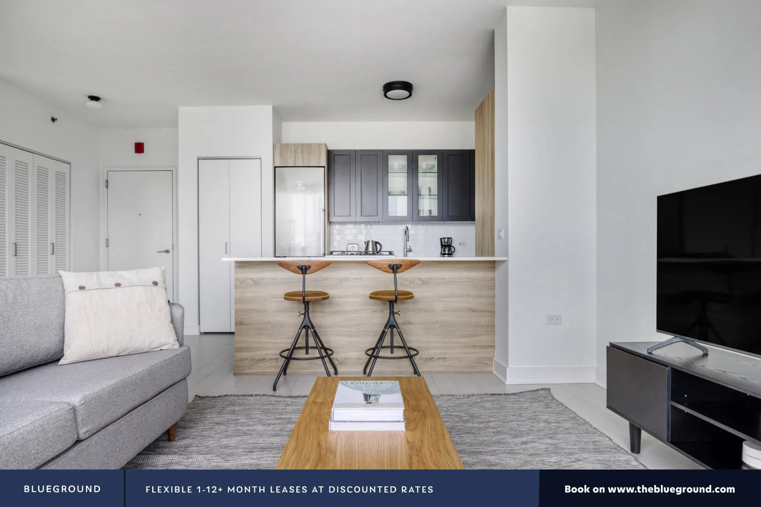 1035 W VAN BUREN ST 60607-Landmark West Loop-unit#ID524-Chicago-IL