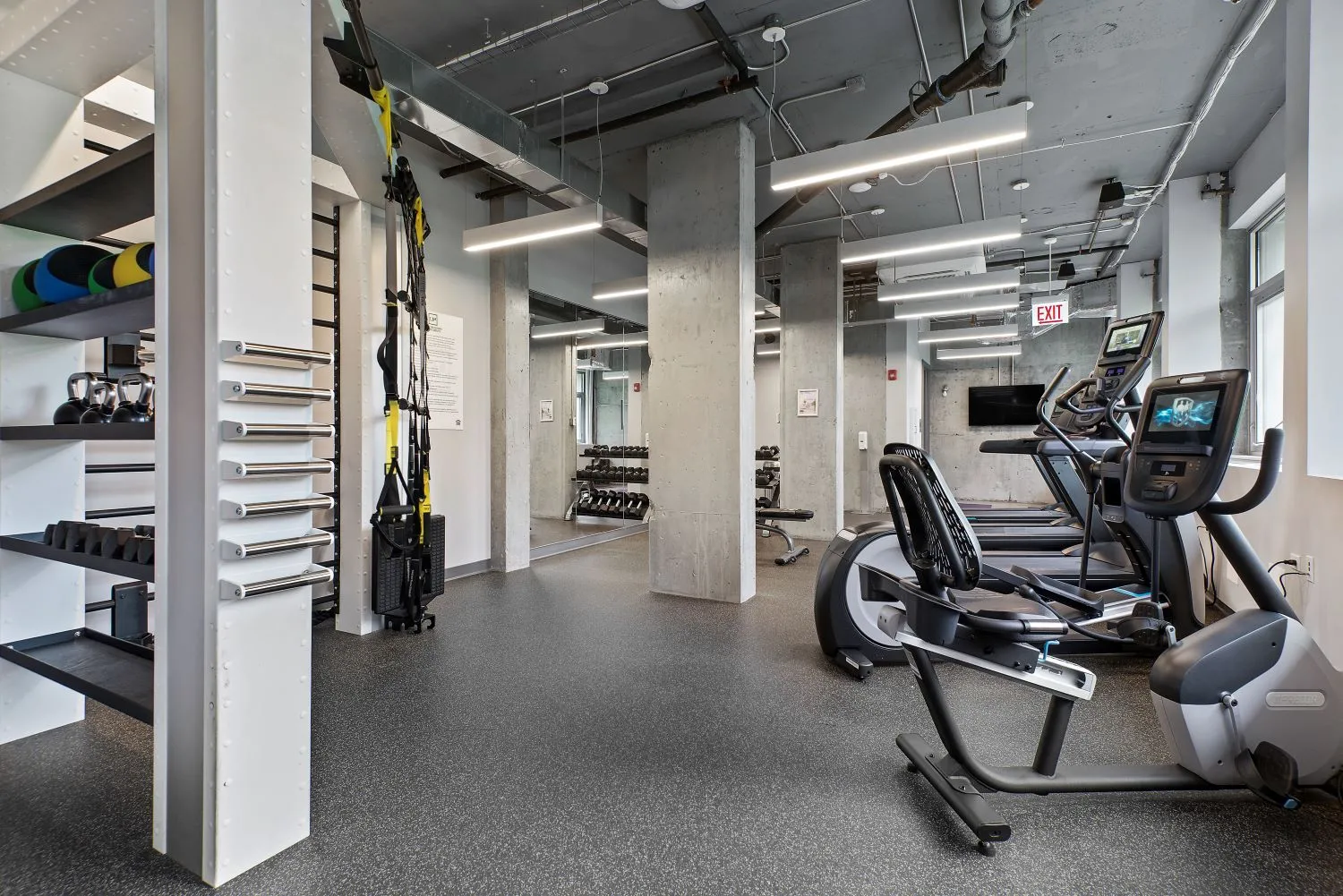 trees in front of the glass Lake Meadows Apartments in Bronzeville Chicago