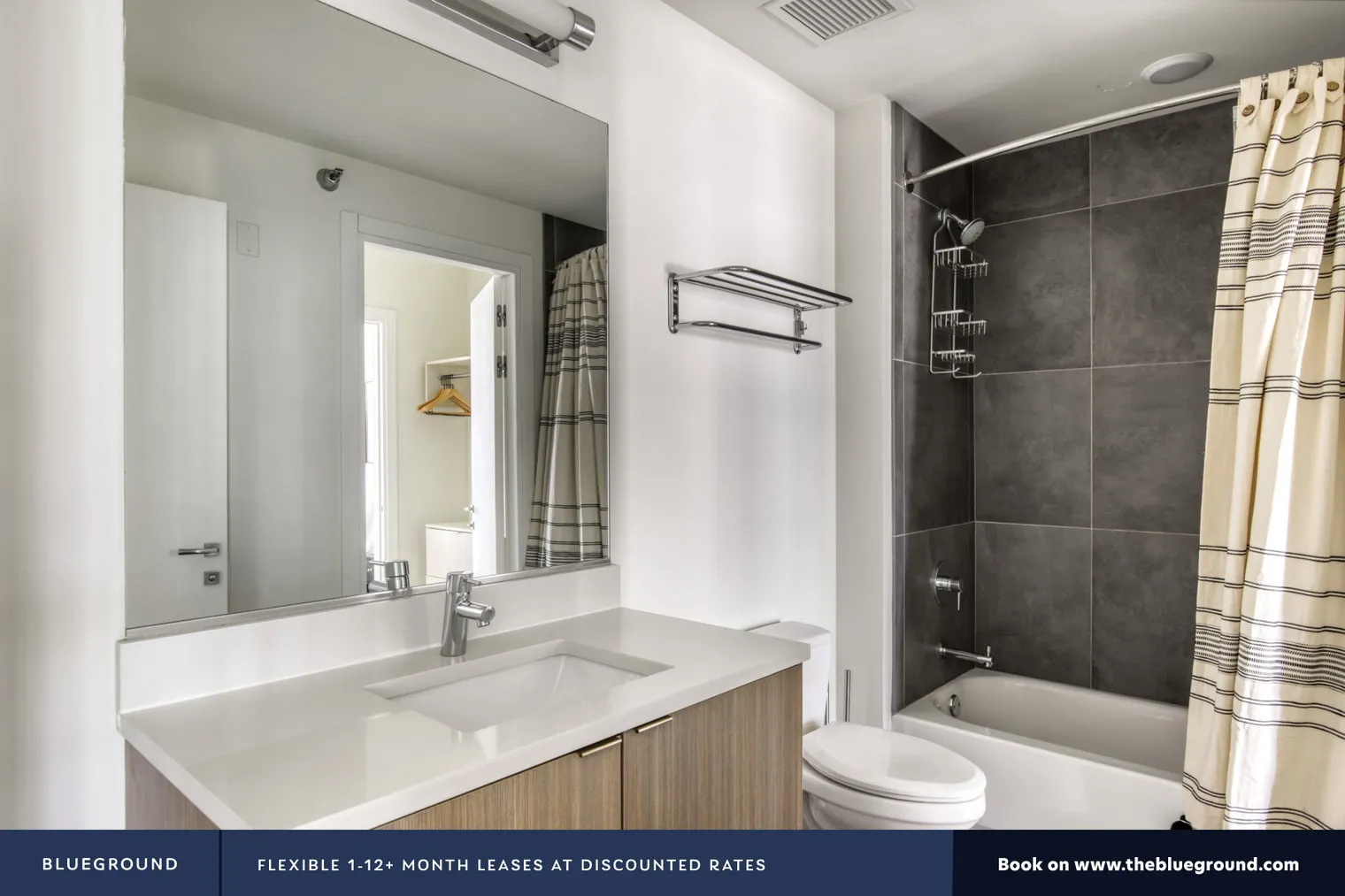 1407 S MICHIGAN AVE 60605-1407 On Michigan-unit#ID765-Chicago-IL