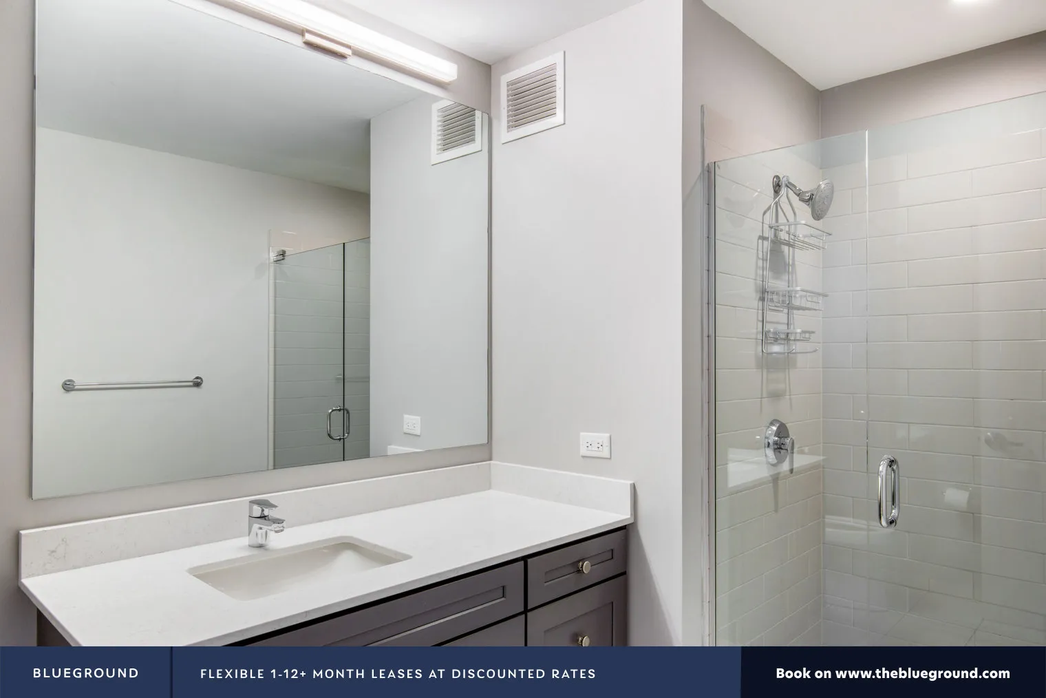 450 W Belmont Ave   60657 60657- Four50-unit#ID983-Chicago-IL