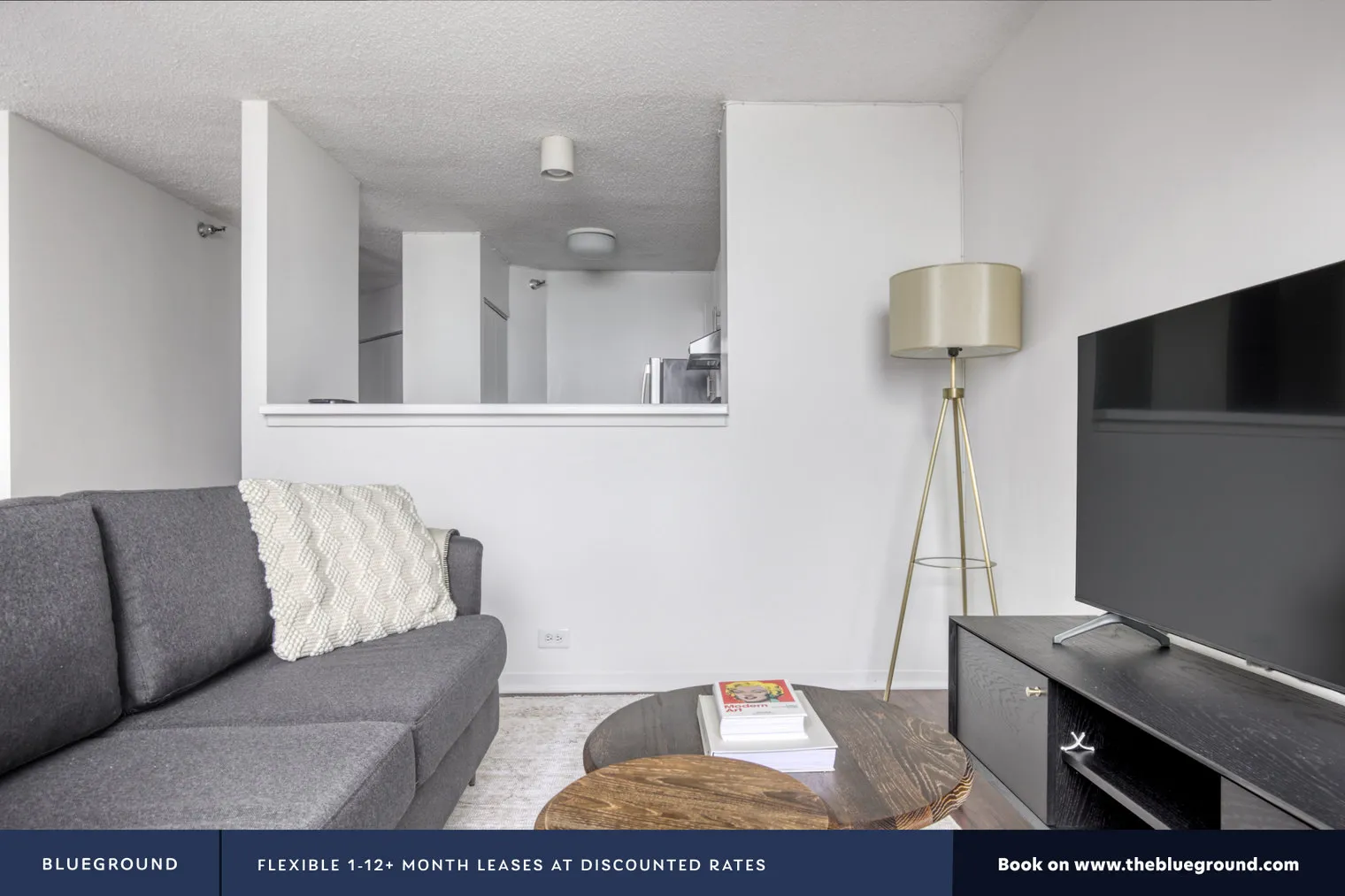 445 E Ohio St   60611 60611-Lake Shore Plaza-unit#ID450-Chicago-IL