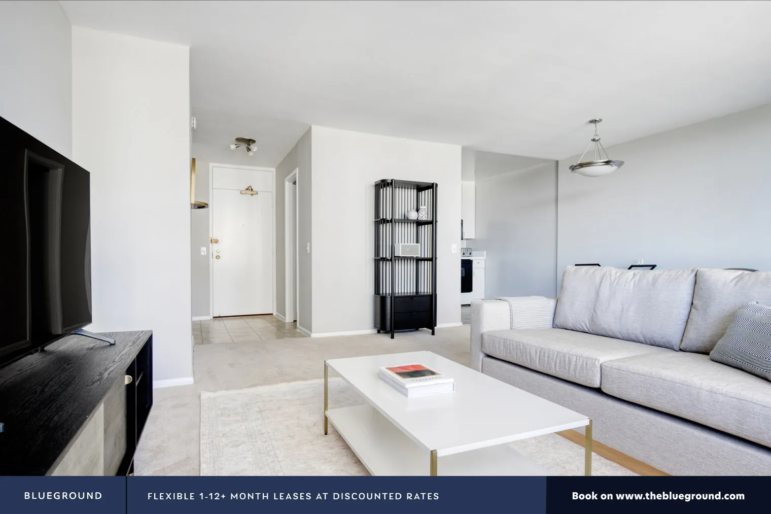 3450 N Lake Shore Dr 60657 60657-3450 N. Lake Shore Dr.-unit#ID403-Chicago-IL