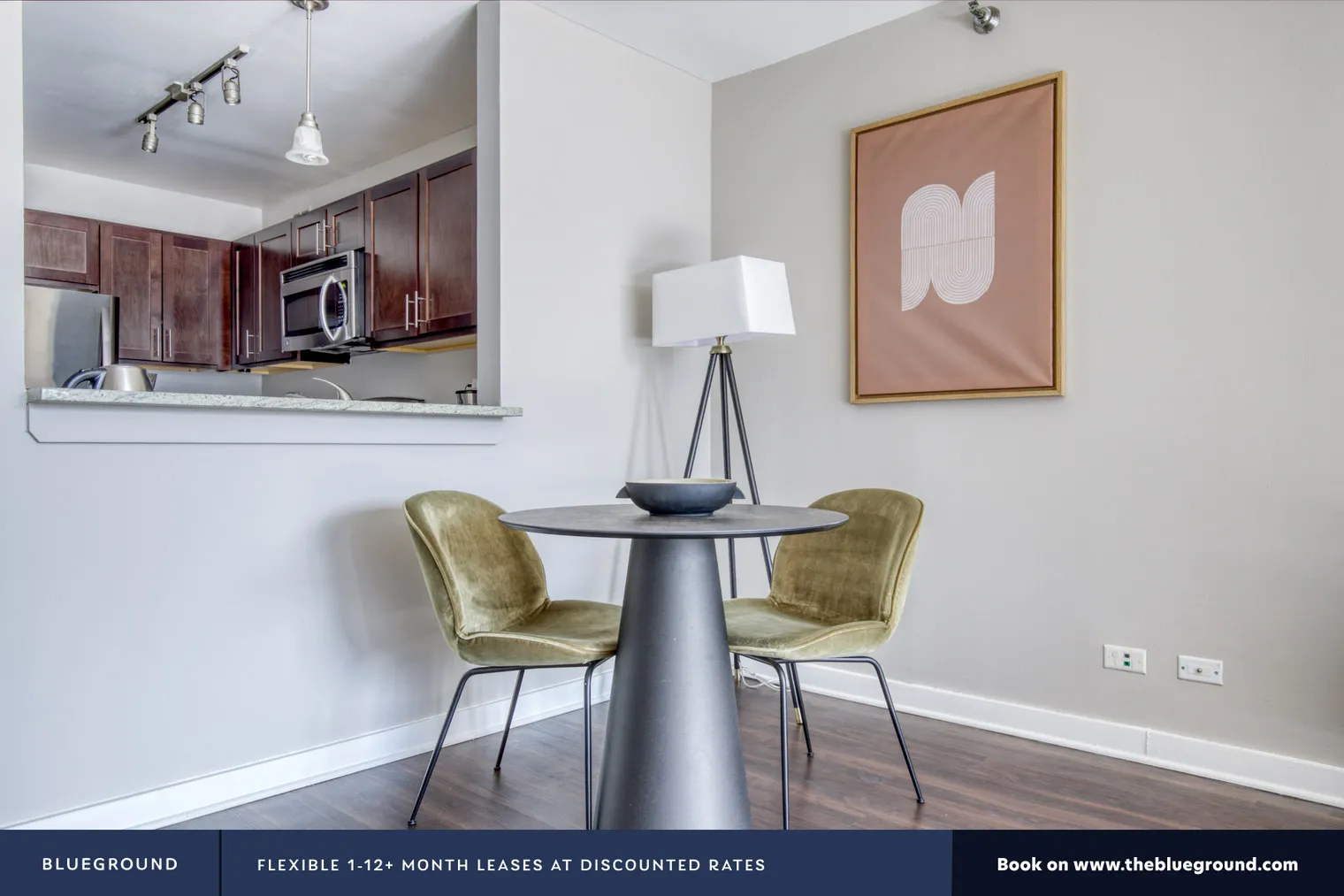 420 E Ohio St 60611 60611-420 East Ohio-unit#ID581-Chicago-IL