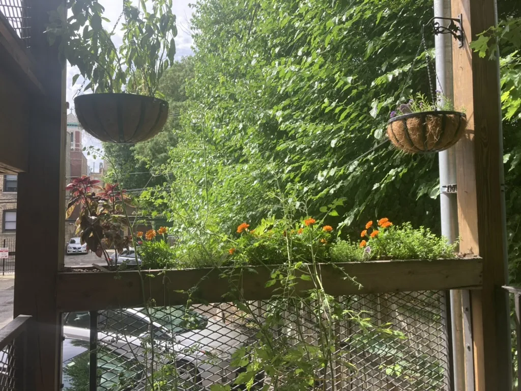 1711 W Greenleaf Ave   60626 60626-unit#1-Chicago-IL