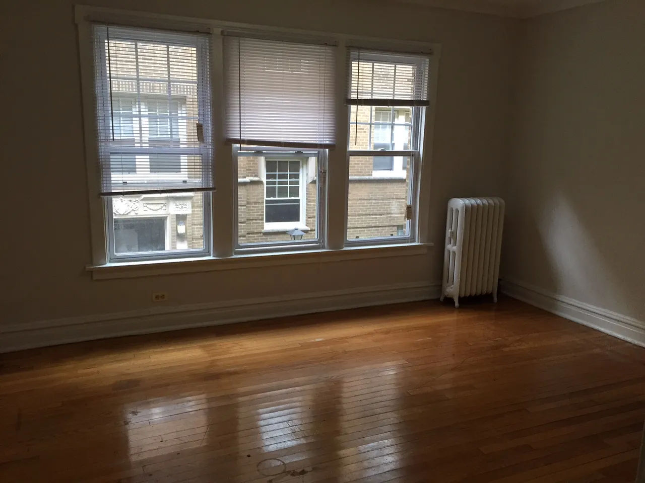 6602 N Ashland Ave   60626 60626-unit#1L-Chicago-IL