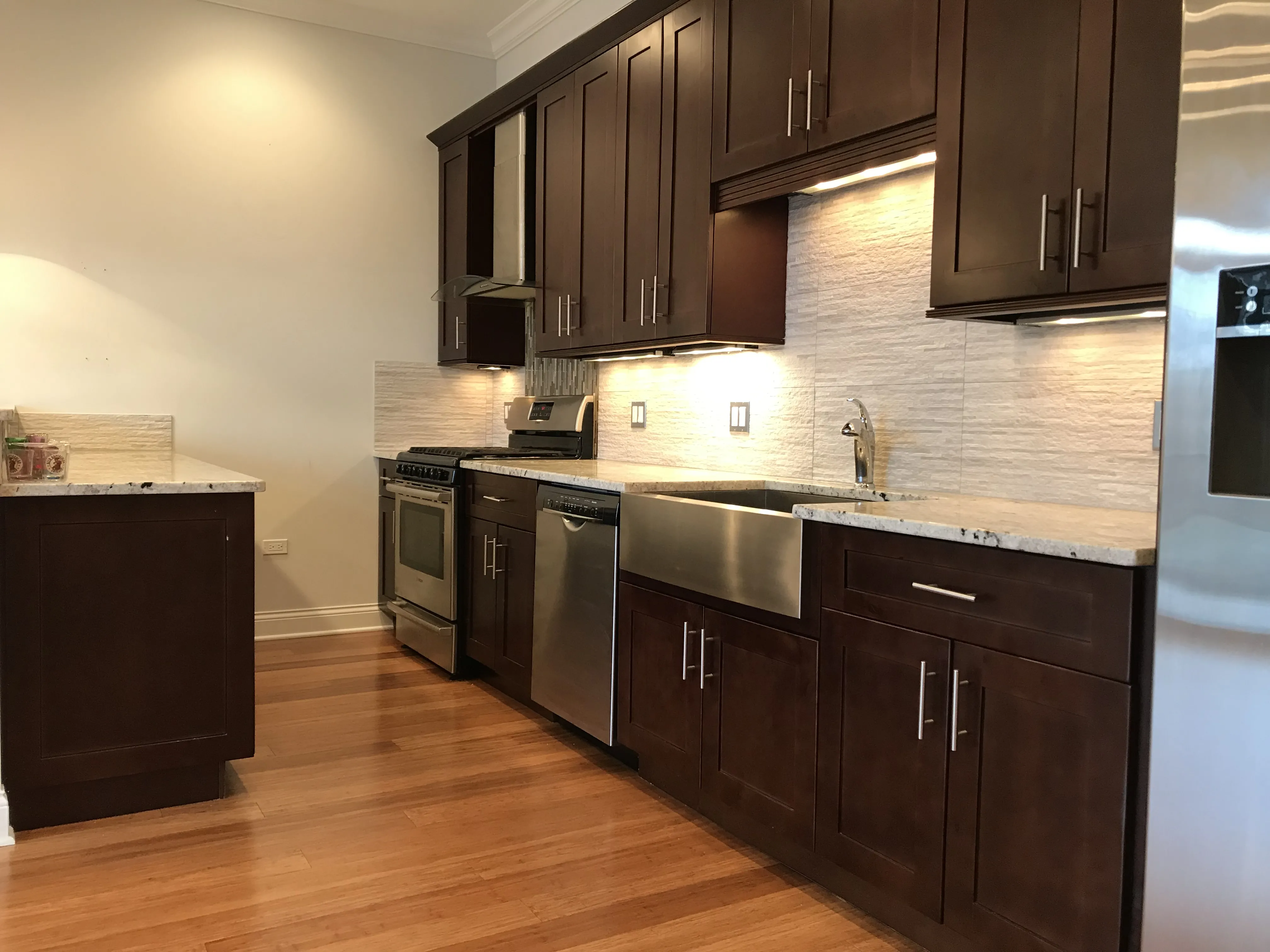 luxury kitchen at Warren Ashland Place Apartments in the West Loop Chicago
