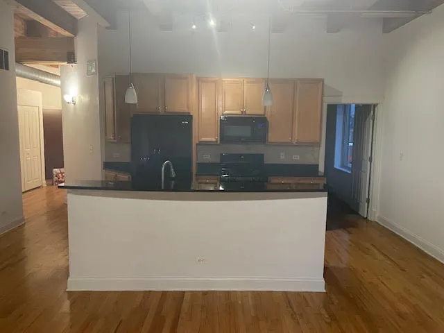 500 N DAMEN AVE 60622-unit#0205-Chicago-IL