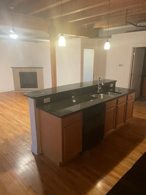 500 N DAMEN AVE 60622-unit#0205-Chicago-IL