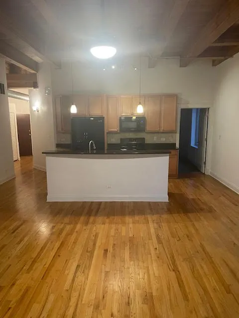 500 N DAMEN AVE 60622-unit#0205-Chicago-IL