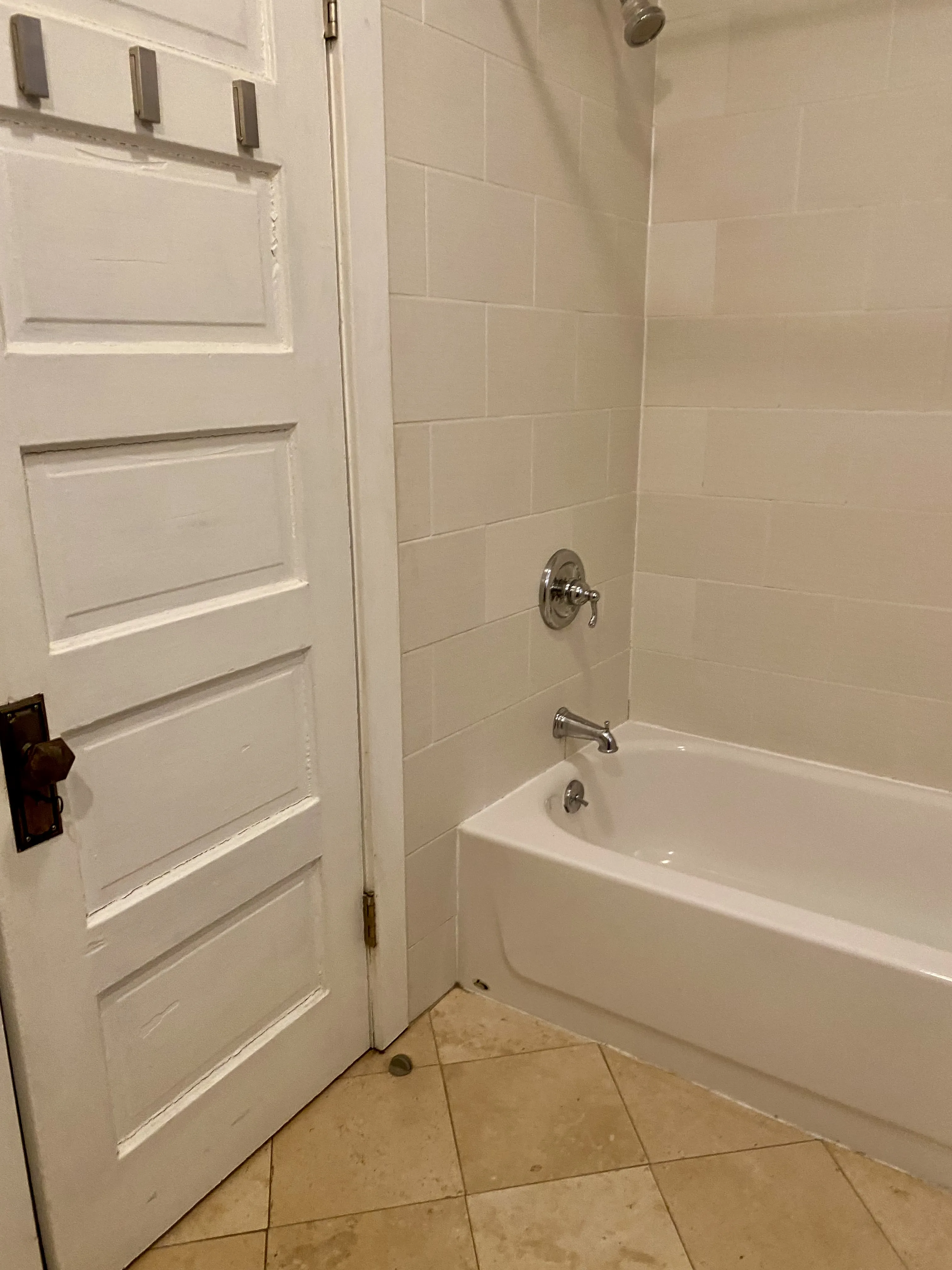 1039 N WOOD ST 60622-unit#2-Chicago-IL