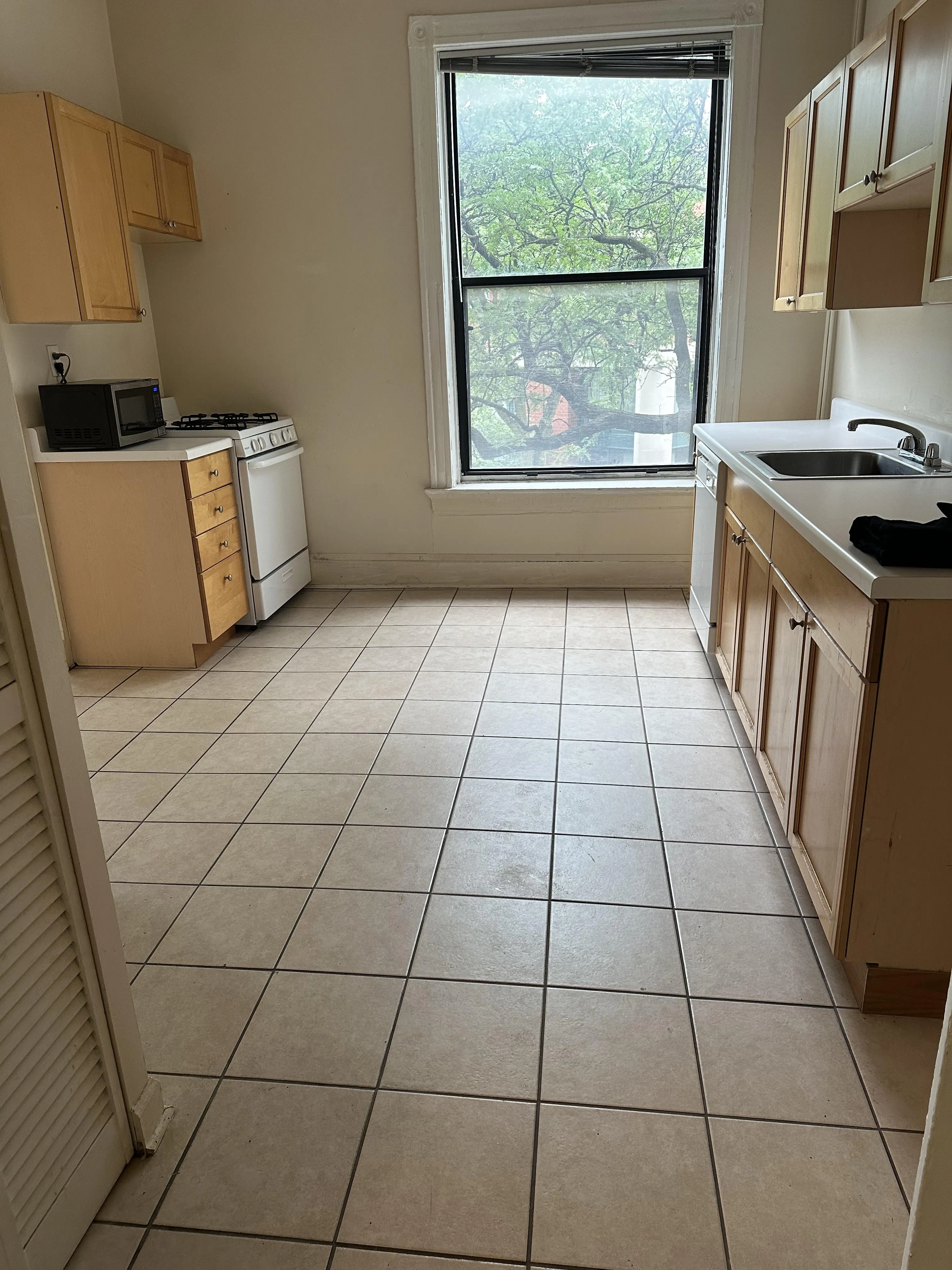 703 W Willow St 60614 60614-unit#1A-Chicago-IL
