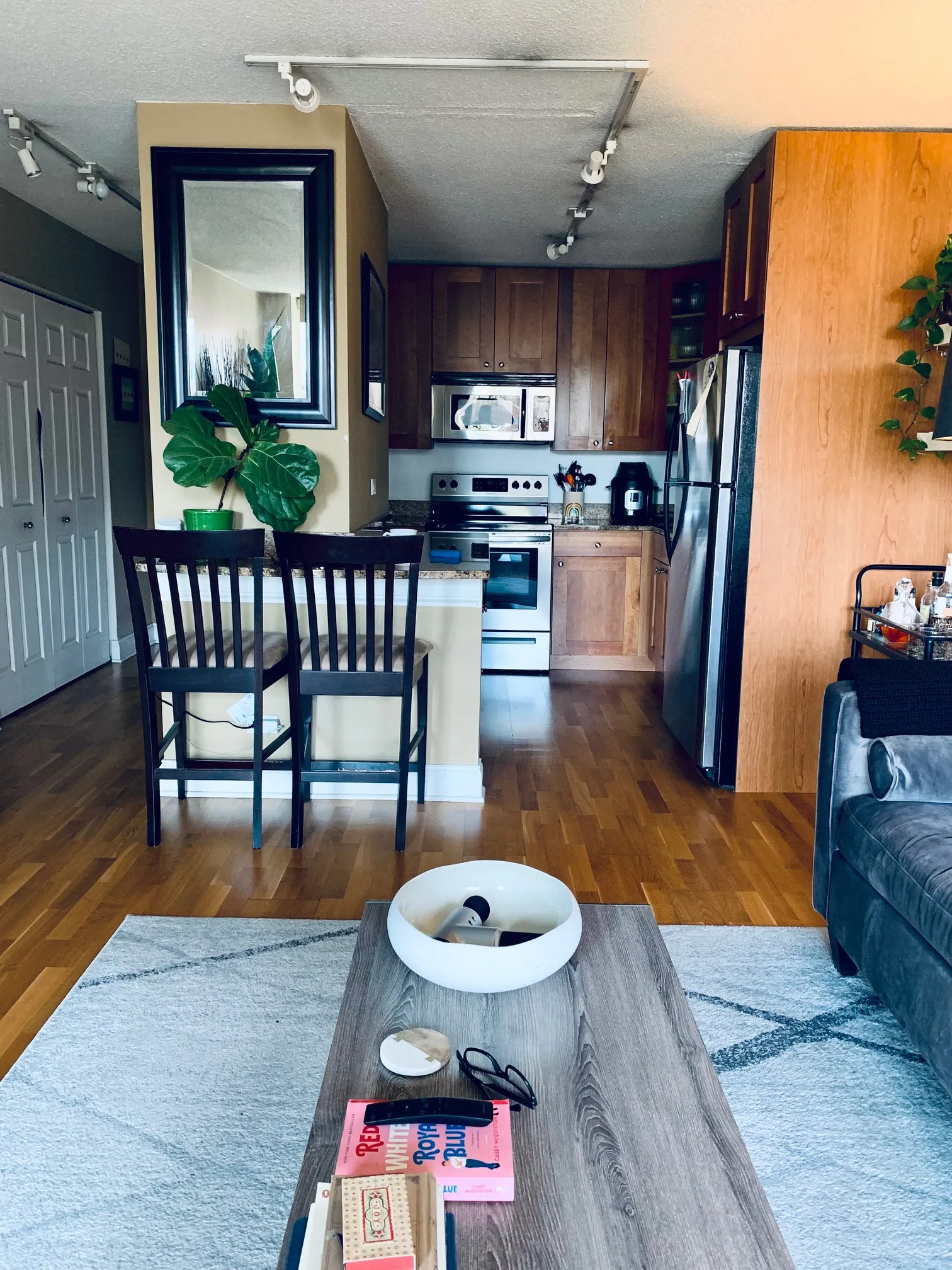 450 W Briar Pl 60657 60657-450 West Briar Building-unit#4H-Chicago-IL
