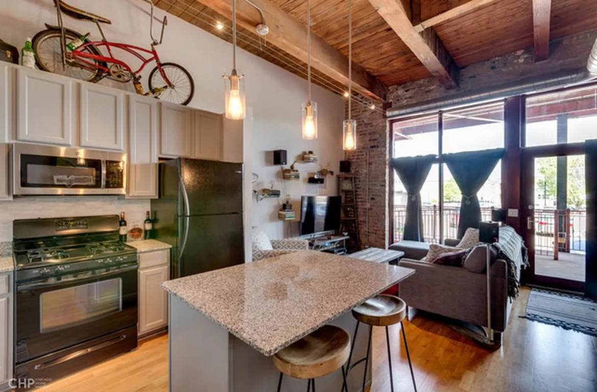 1061 W 16th St 60608 60608-Chantico Lofts-unit#204-Chicago-IL