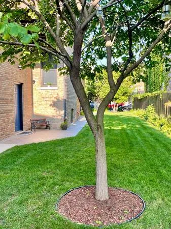 2112 N Sawyer Ave 60647 60647-unit#Apt 1-Chicago-IL