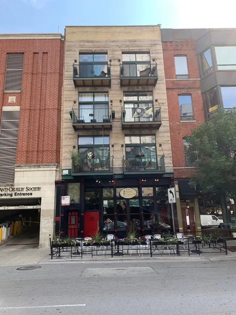 509 N Wells St 60654 60654-unit#3-Chicago-IL