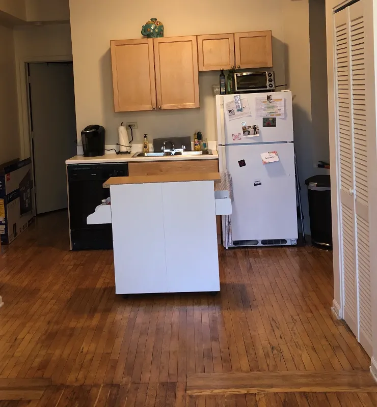 703 W Willow 60614-unit#2B-Chicago-IL