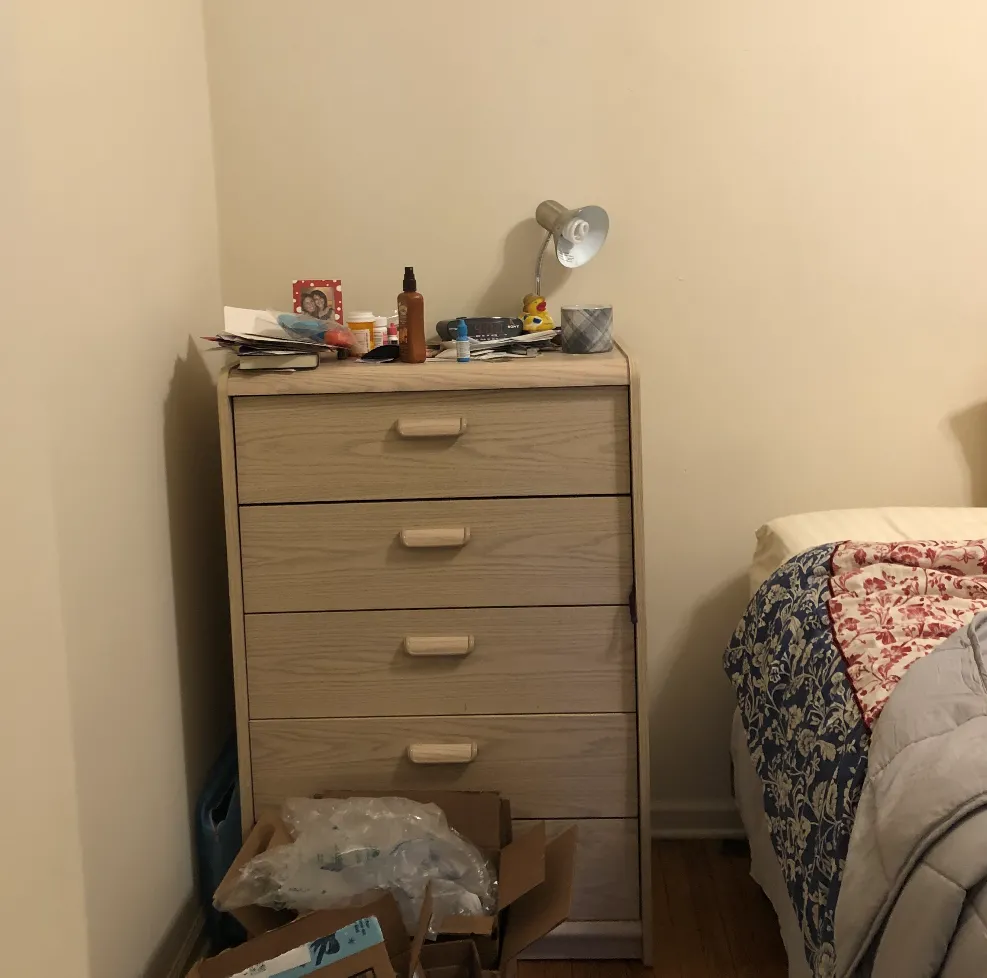 703 W Willow 60614-unit#2B-Chicago-IL