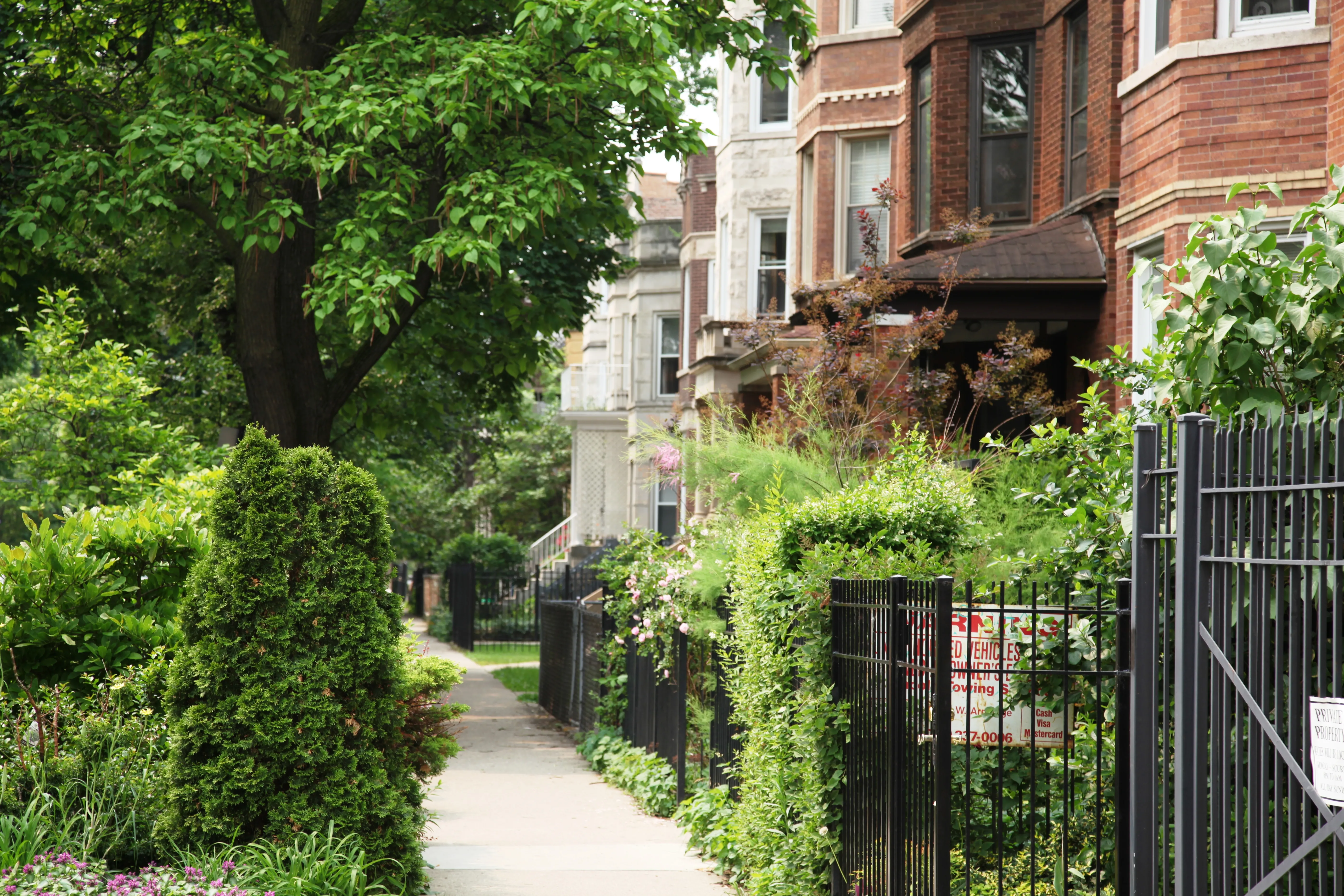 chicago_apartments_under_800