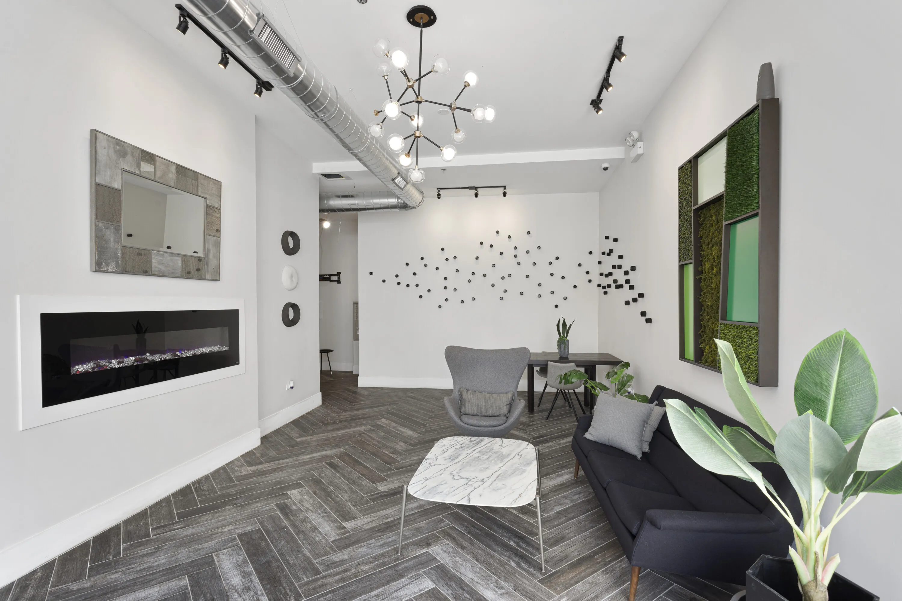 Elevation Loft Apartments