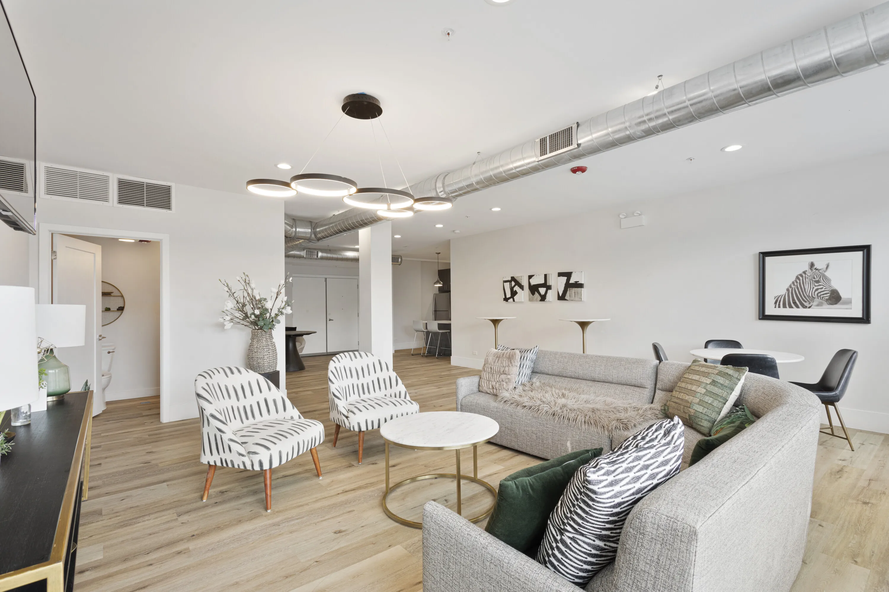 Elevation Loft Apartments