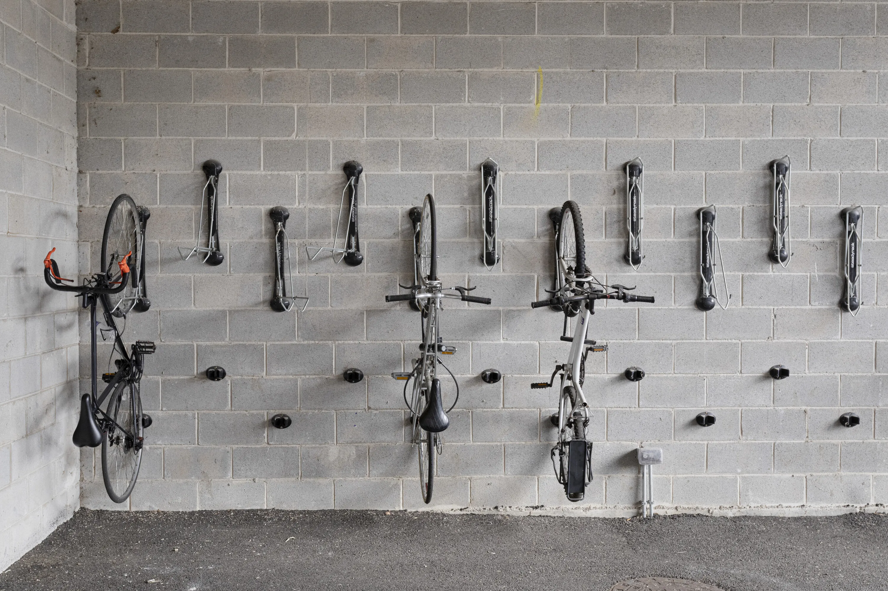 Elevation Loft Apartments