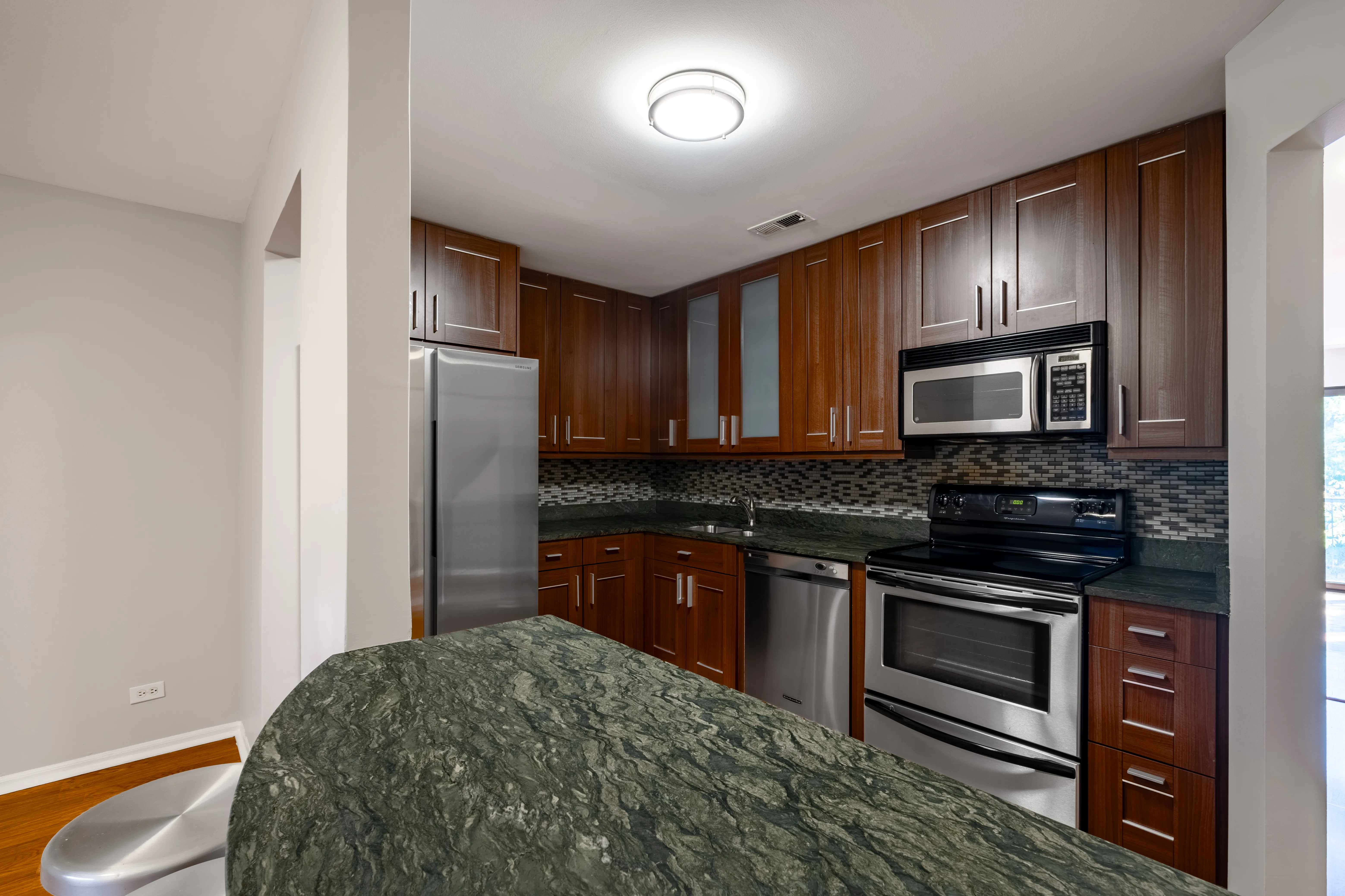 1330 N La Salle Dr 60610 60610-Chicago-IL