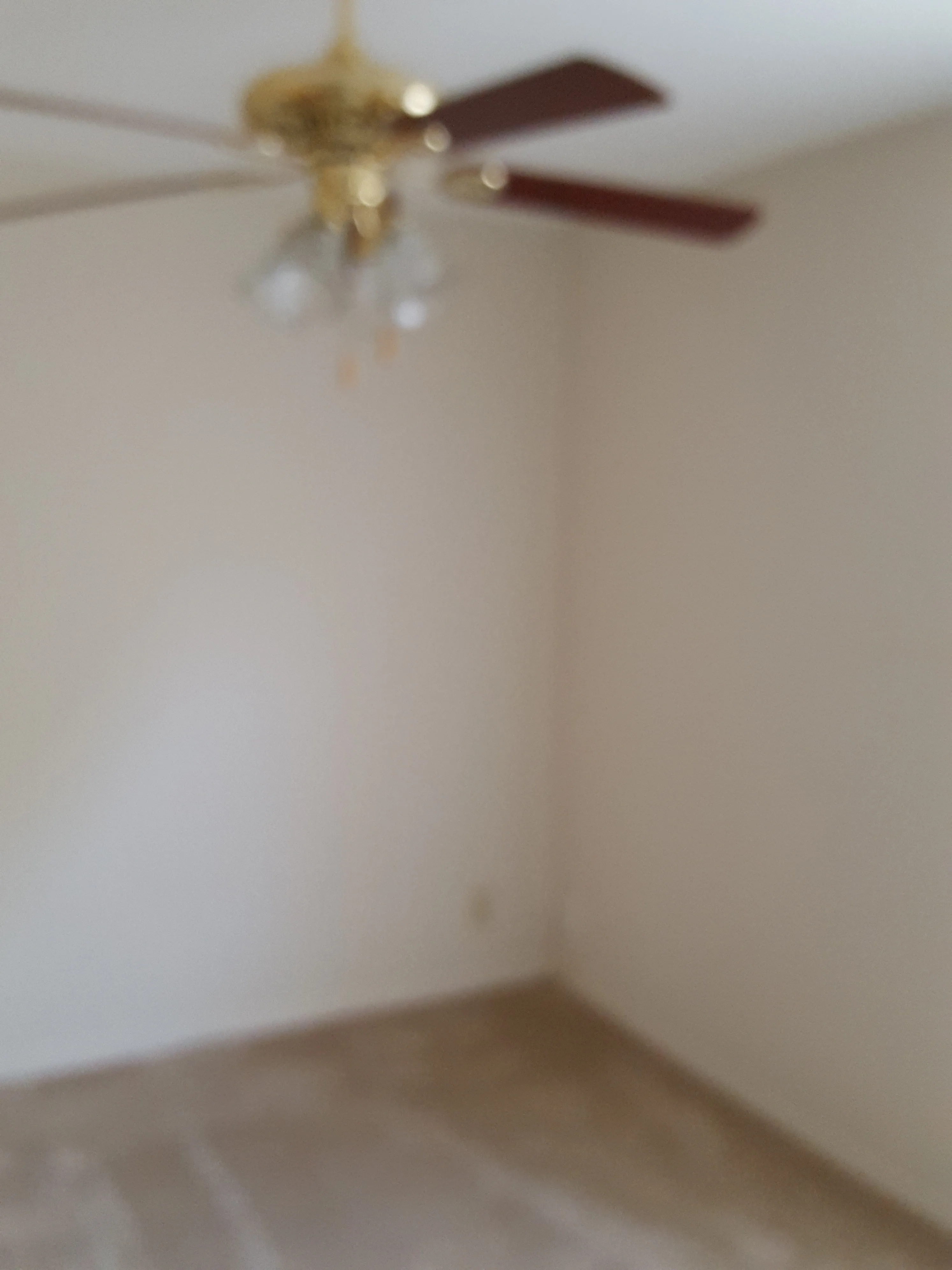 1300 West Nelson 60640-unit#2R-Chicago-IL