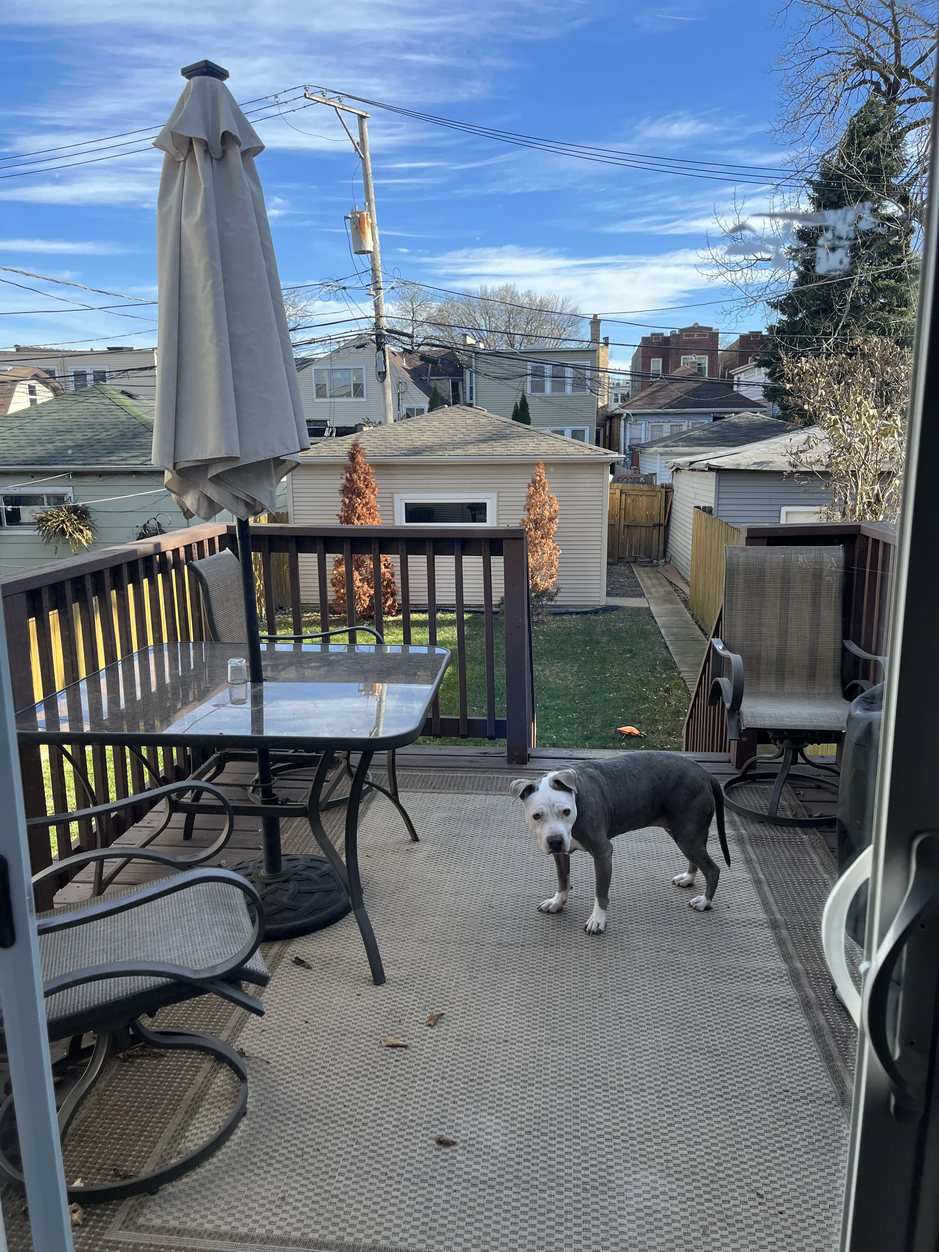 2629 N Avers 60647-unit#Ave-Chicago-IL