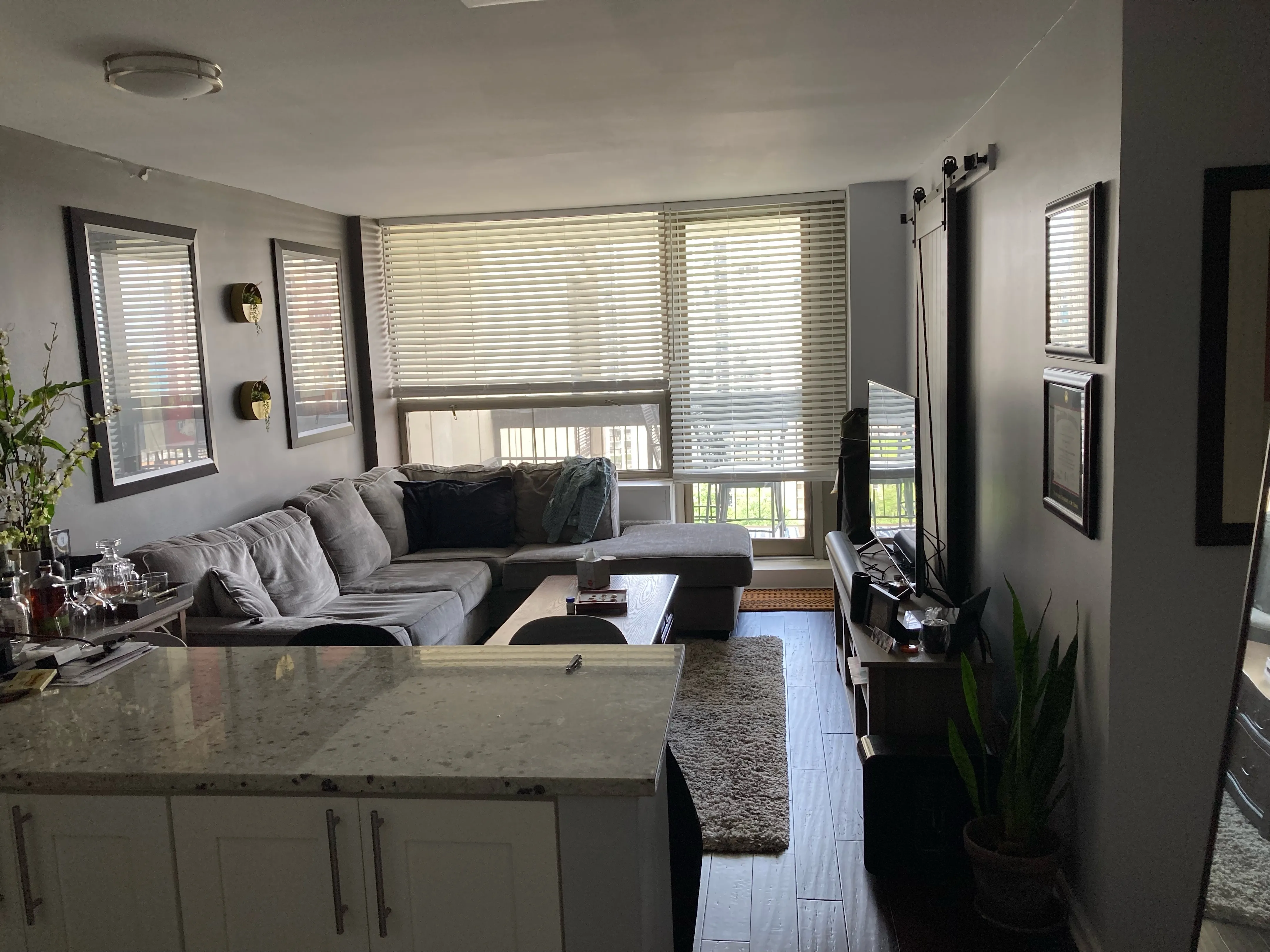 1360 N Sandburg Terrace 60610 60610-unit#1806-Chicago-IL